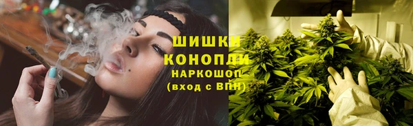 гидра Медногорск