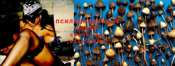 гидра Медногорск