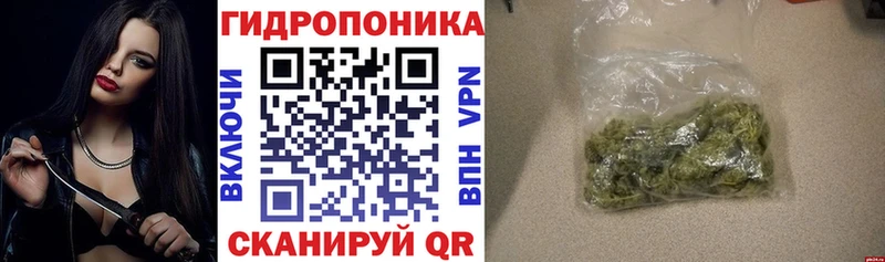 Шишки марихуана OG Kush  Купить  Володарск 